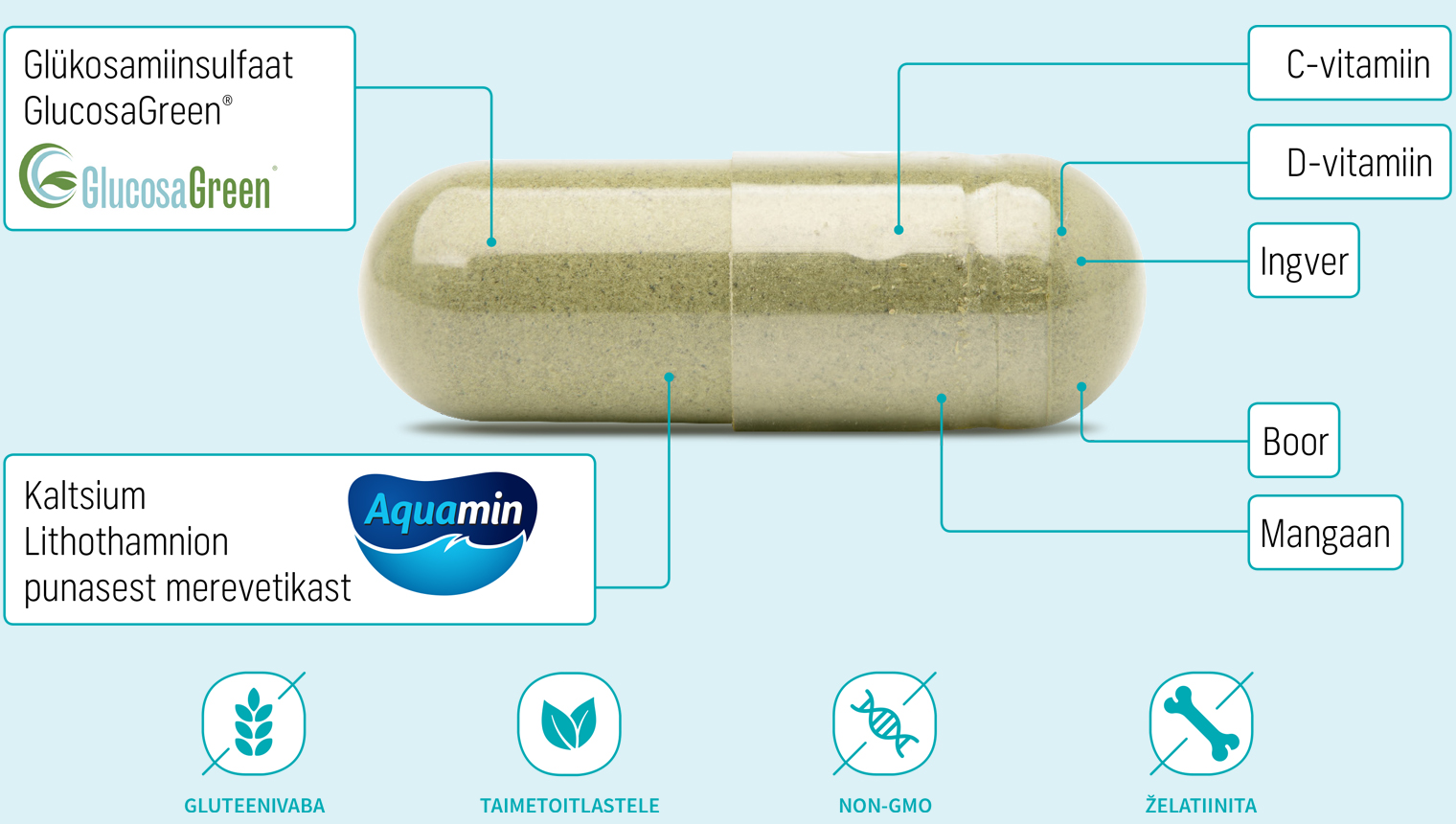 Natural Pharmaceuticals FlexiMed® Active Toidulisandi kapsel, millel on märgitud koostisosad: GlucosaGreen® glükoosamiinsulfaat, punastest merevetikatest saadud kaltsium Aquamin, C-vitamiin, D-vitamiin, ingver, boor ja mangaan. Allpool on märgitud, et toode on gluteenivaba, sobib veganitele, ei sisalda geneetiliselt muundatud organisme ega želatiini.